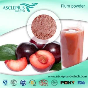 Plūmju augļu sulas pulveris, plūmju augļu ekstrakta pulvera piegādātājs vairumtirdzniecība
